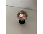 Coca Cola Futgudes 19 Renato Ga�cho